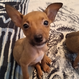 D 1890cff9 61e1 441d b4ae 579ba00e0fda