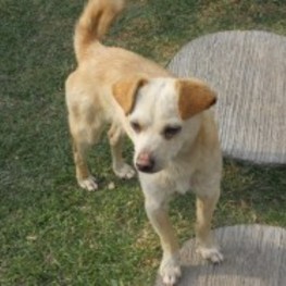 D 3b91bbb2 5f7d 410a 885a d7d24ecfd21e