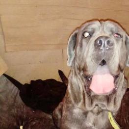 D 4fb645bb 8124 4e66 b9eb 81cd63f75c69