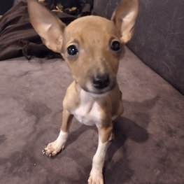 D 0955ba48 40fe 4129 bef5 22f9cf364295