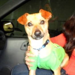 D 5f3cc7be a698 4ba0 87cd 0af04fb19528