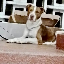 D d591a53f 0a60 4cf6 a2bb 3944726a9f3d