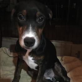 D a016b3ec fc06 4a3a b9f7 311a9238990e