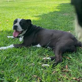 D b51c12b4 c63c 4cbc a91c e3da799a84d2