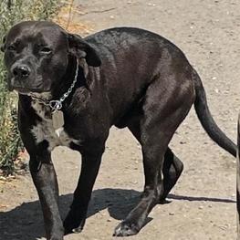 D 5d64d75e b511 4673 b561 b931ebd0dad0