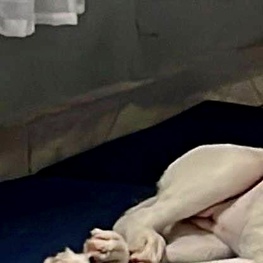 D 9f995a04 38f0 4696 9fa7 ae694aa3f382