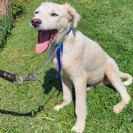 D 5315b099 17d6 4c0b b421 fd1b7b784660