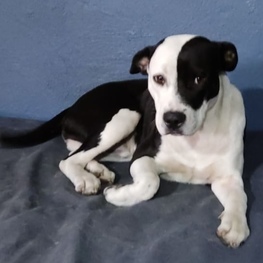 D 77e6a9f3 f2bd 4f91 b565 aaec1163d5b9