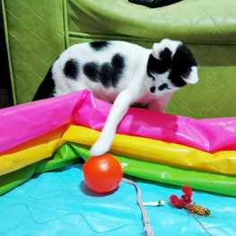 D a59ee048 fe93 4c3b 8ec1 025a63377bf9