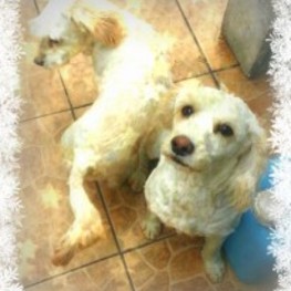 D b8cb6345 bdf3 4077 8474 c054c12a8ed9