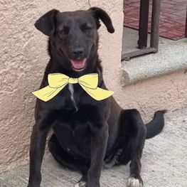 D 629fed83 0bd9 444e baa7 95c0f420ddd0