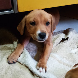 D 8f592276 fcc8 4565 98b7 fd9a3646f259