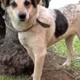 D 25b90d6a 01ad 49c3 a325 94bcb3b764f5