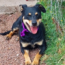 D a1ce1020 8492 46c7 b73c 6d9578a1c69a