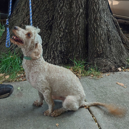 D 0d773449 f00c 4d92 8421 f8efb89dc6f2