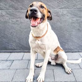 D 29ffa05b 67b6 461e bced 0065fcc08e9b