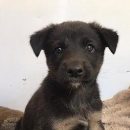 D 16ae4ab6 ca0f 476b bea3 0aeaea062414