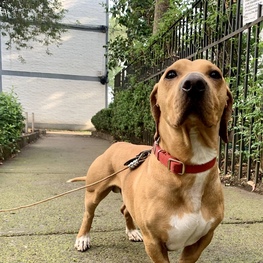 D ddf2127a 90cb 46ca 8fad b4dd6568af6a