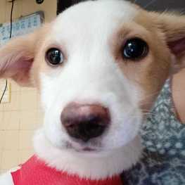 D 4eb69f0f b6a2 45b6 84cc 714c32c81d38