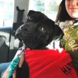 D 1294cf34 652e 4068 830d 7bdf5cdeb301