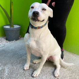 D d42d27bc bdb9 4ed7 9cf0 b2c575979a71