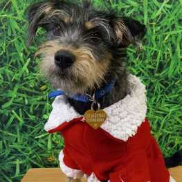 D a18c461a 209e 45f9 b813 96842296eb29