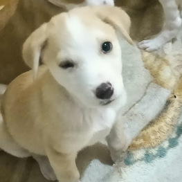 D 67a177e8 7d93 45b0 97ba 8144863eb591