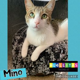 D 3fae7d06 9aeb 4d00 bc61 6cbd0f1ab218