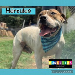 D c6e0e717 470b 445c a86e fc4456ff6d85