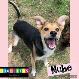 D f6fa2235 3e4a 44da 9e53 e49fc8b4dba6