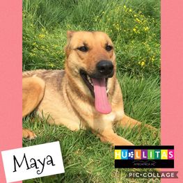 D e1ba6271 74ea 44ad a875 833be302ca8c