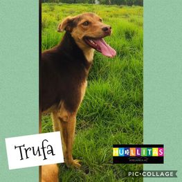 D b60a4c3b 77ea 4989 993a 6b80abd6403e