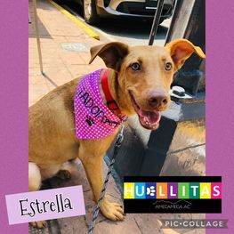 D df276c7b 43df 4f86 a47d 4b98a5314aae