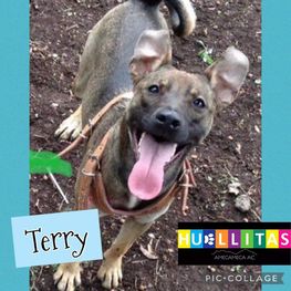 D 39256c24 a1f0 41e4 90c4 c63f52fa4e05