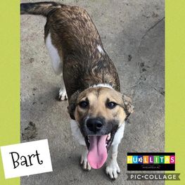 D 1fb8b417 69c4 4df7 893a aae26b37177f