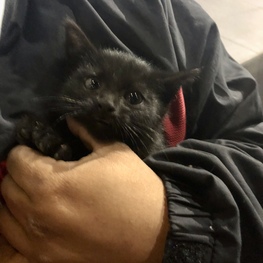 D 43d76305 84ee 4d4d 8e3a bb1bb13d8da2