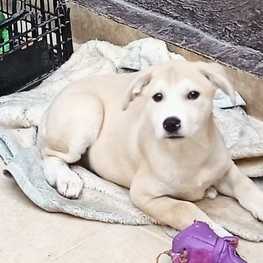 D e7c68b85 dc3f 4fb5 a0d7 1b3b6c1b126d