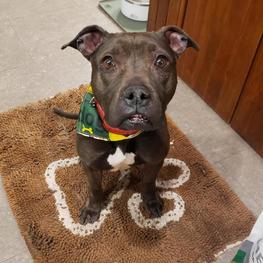 D 28a08987 6986 4b34 9782 d86f4499c479