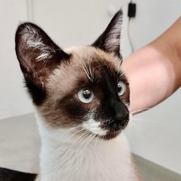 D 71656a16 7e41 47da a622 3ee863663d15