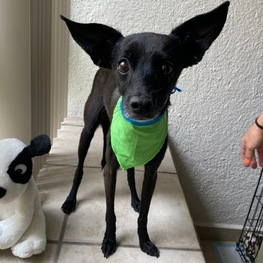 D cc9d336b 0509 4e03 832c e7b3bbf58b1c