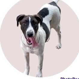 D b161f77e e10f 43d1 94cb 6f5b06469aa9