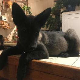 D 1c04e5d2 ca08 4672 b09f df2ef0aee376