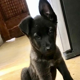 D 6f76bd91 32d8 4922 bd6f d8b78db68424