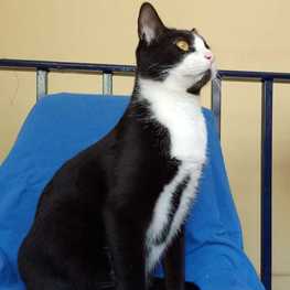 D cc3d8703 3b57 4601 96f0 007de37124d6