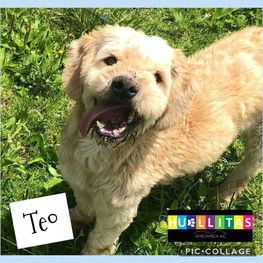 D 8ca37e69 c728 4420 8328 a05d2c4ff03a