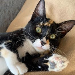 D 1213d394 a956 4f8d b4f5 73b44862369e