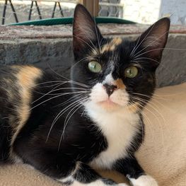 D 87d4ffbb 9d75 4f7c 8c12 c104d3193574