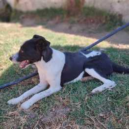 D 3b936a14 2598 42fb 82d3 fd37a309fe30