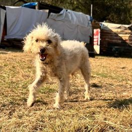 D 99384739 015c 46e8 a334 34d7ac43a65c