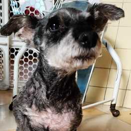 D 44cb1dbe c67c 4e06 9e5d 4603566757c3